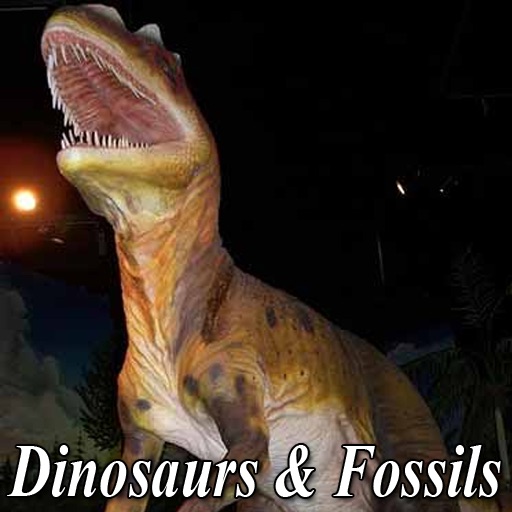 Dinosaurs And Fossils News