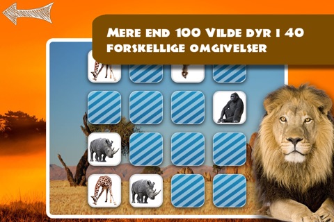 Memo Game Wild Animals Photo screenshot 4