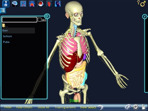 Human Body 3D for iPad screenshot 4