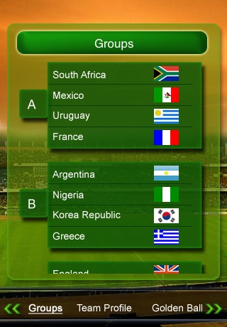2010 Soccer World Cup screenshot 2
