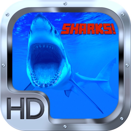 Shark Hunter Adventure Gold Pro Icon