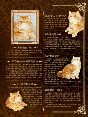 猫迷 screenshot 3