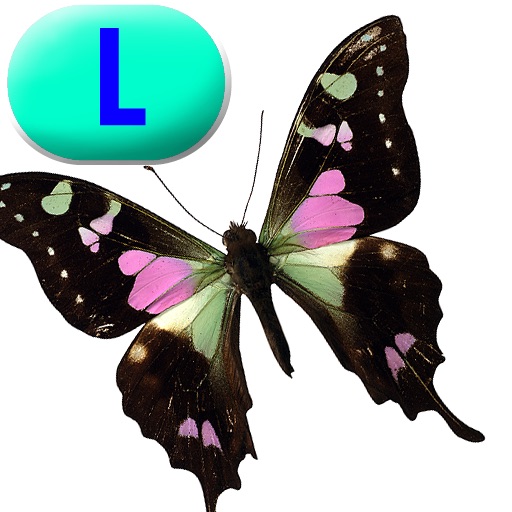 Insect Life Cycle – LAZ Reader [Level L–second grade] icon