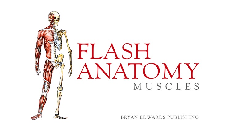 Flash Anatomy Muscles