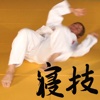 Judo Newaza 1