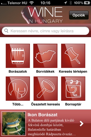 Wine in Hungary screenshot 2