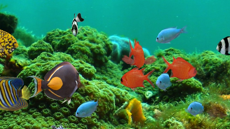 MyReef 3D Aquarium 2 HD screenshot-4