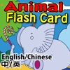 Flash Card Animal
