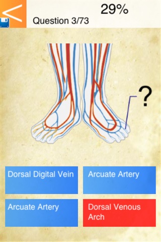 Anatomy Skills - Circulatory System screenshot 3