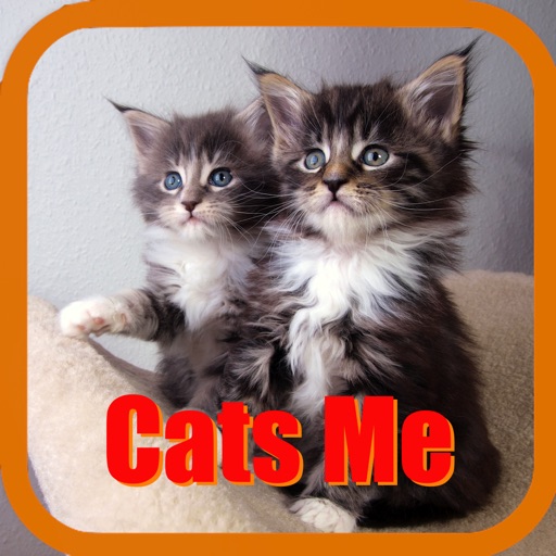 Cats Me - Cats Effects icon