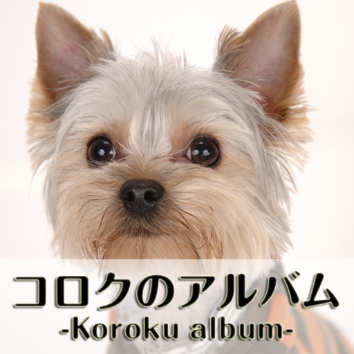 Koroku Album (Dog Photos) icon