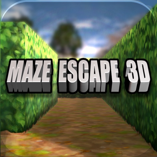 Maze Escape 3D Icon