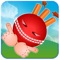 IPL Season is back and so we have a new IPL cricket game for you