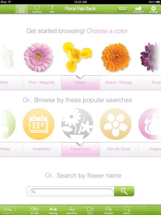 Floral Fan Deck