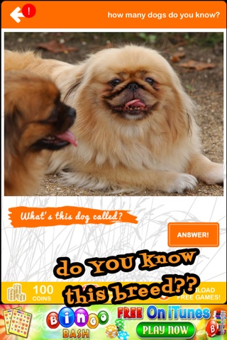 Dog World - Dogs 101 Trivia and Quiz Game screenshot 2