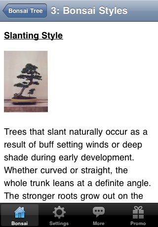 Bonsai Tree - The Art of Growing Bonsai Trees screenshot 3