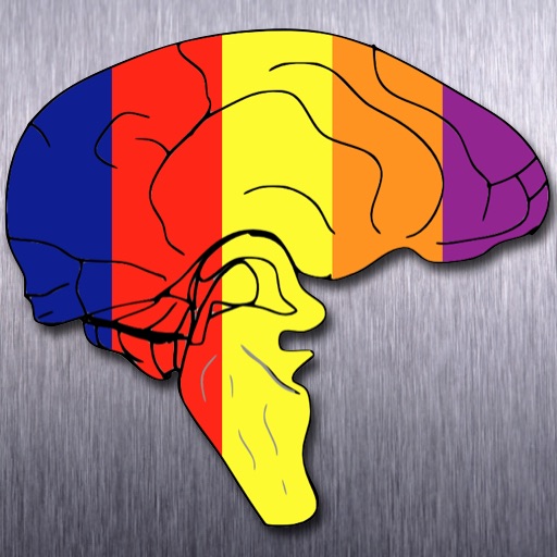 Stroop Effect Test