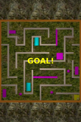 Trap Maze Lite screenshot 3