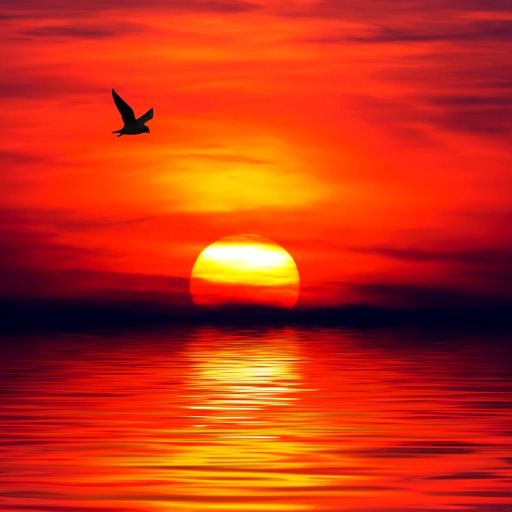 Sunsets Wallpapers & Backgrounds