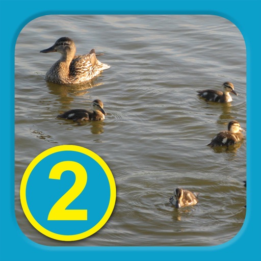 At The Pond - Level 2(B) - Learn To Read Books icon