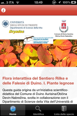 Flora interattiva del Sentiero Rilke e delle Falesie di Duino. I. Piante legnose screenshot 2