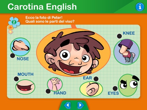 Carotina English screenshot 4