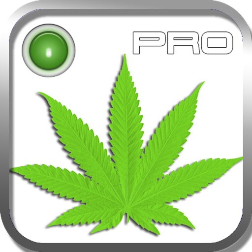 Cannabis Laws Pro icon