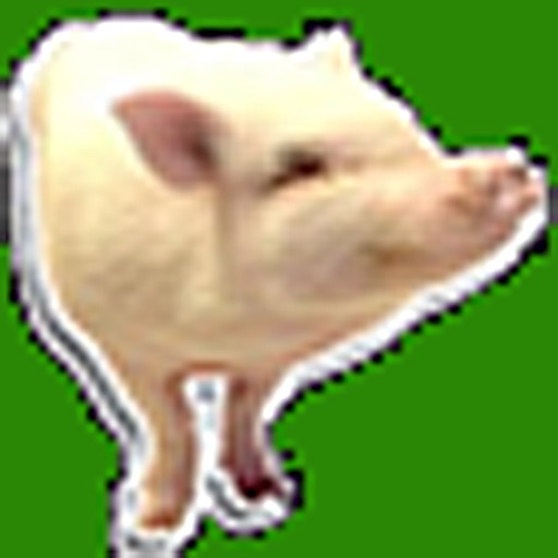 Wilbur The Pig icon