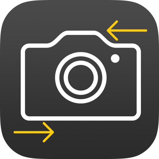 Flipside camera icon