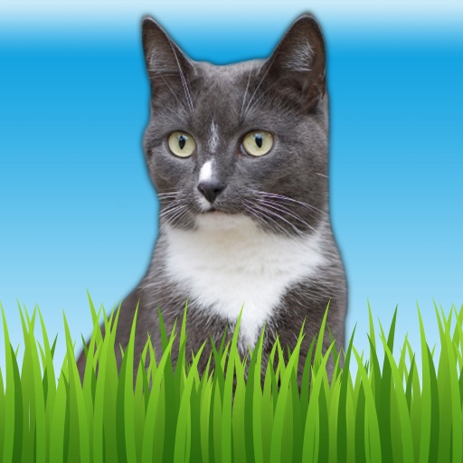 Pet Sounds - Fun Animal Noises for Kids iOS App