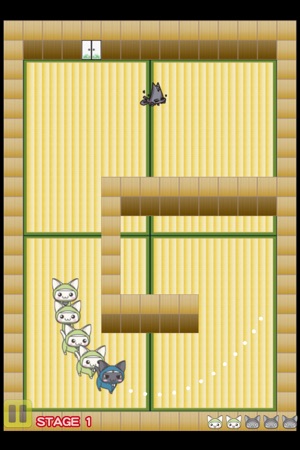 Ninja Cat Ranger(圖2)-速報App