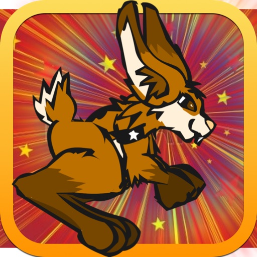 Crazy Bunny Run iOS App