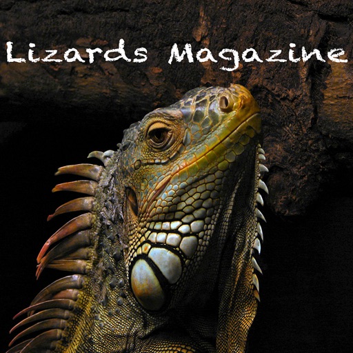Lizards Magazine Icon