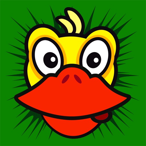 Operation Duck Storm iOS App