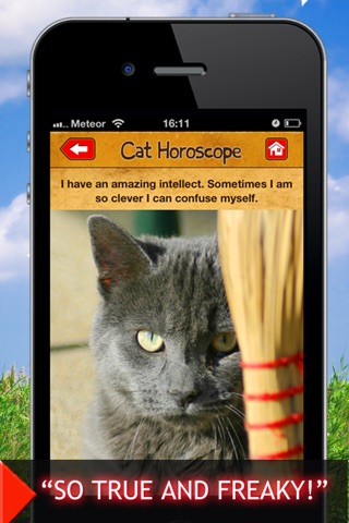 Cat Horoscope Booth: Astrology Horoscopes for your Pet screenshot 2