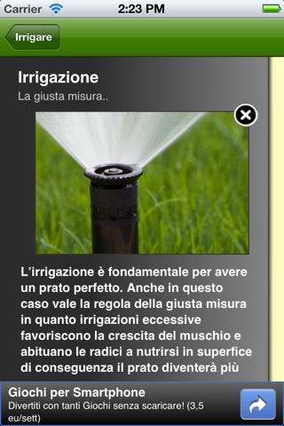 Prato Ok Free screenshot 4