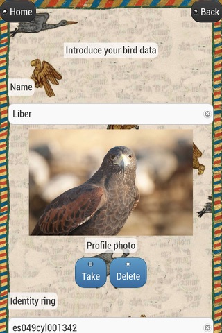 Falcon Log screenshot 2