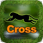 Top 50 Games Apps Like Cheetah Cross Game HD Lite - Best Alternatives