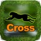 Cheetah Cross Game HD Lite