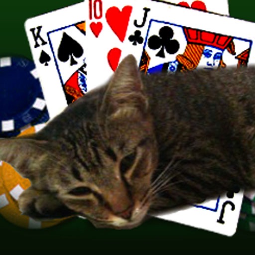Poker With My Cat
