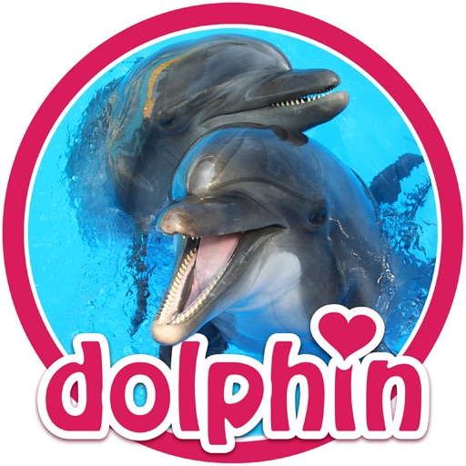 Dolphins - dive into their world! icon