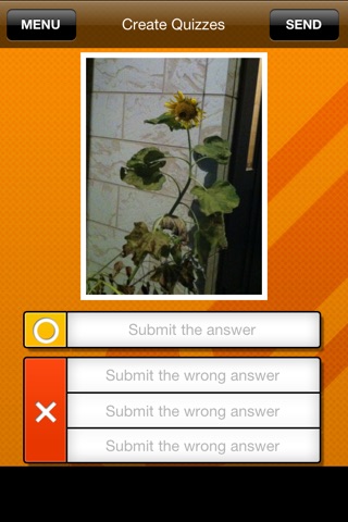 PictureQuiz screenshot 4