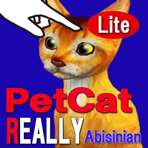 Abyssinian Petting Cat 3D REAL Lite
