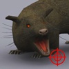 Rat Hunter 2014