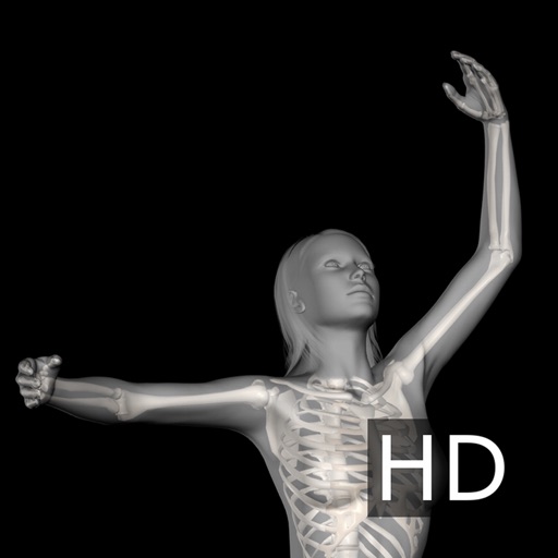 360º Anatomy for Artists:Ballet HD