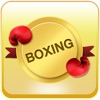 boxing icon