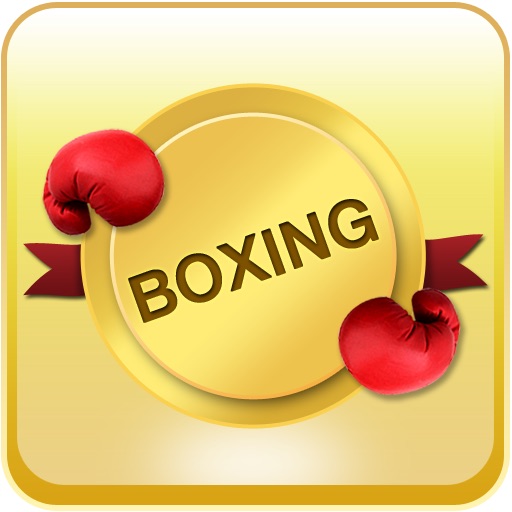 boxing icon