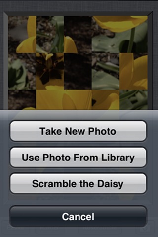 Photo Scramble screenshot 3