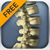 The Kinetic Spine (Free)