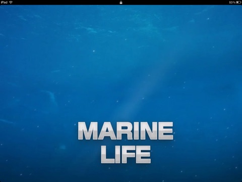 MarineLife HD -by Rye Studio™ screenshot 4